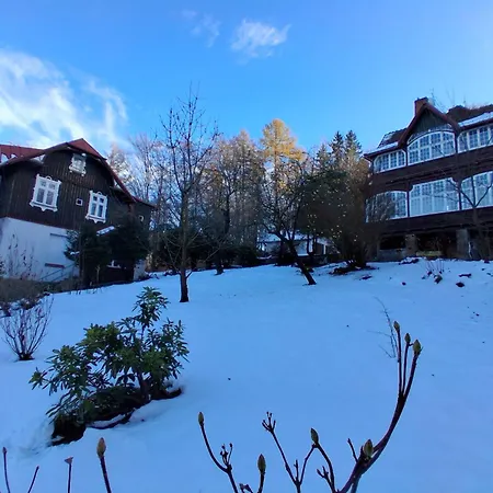 Maria * Соснувка